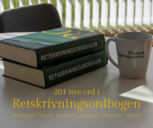 Billede af Retskrivningsordbogen